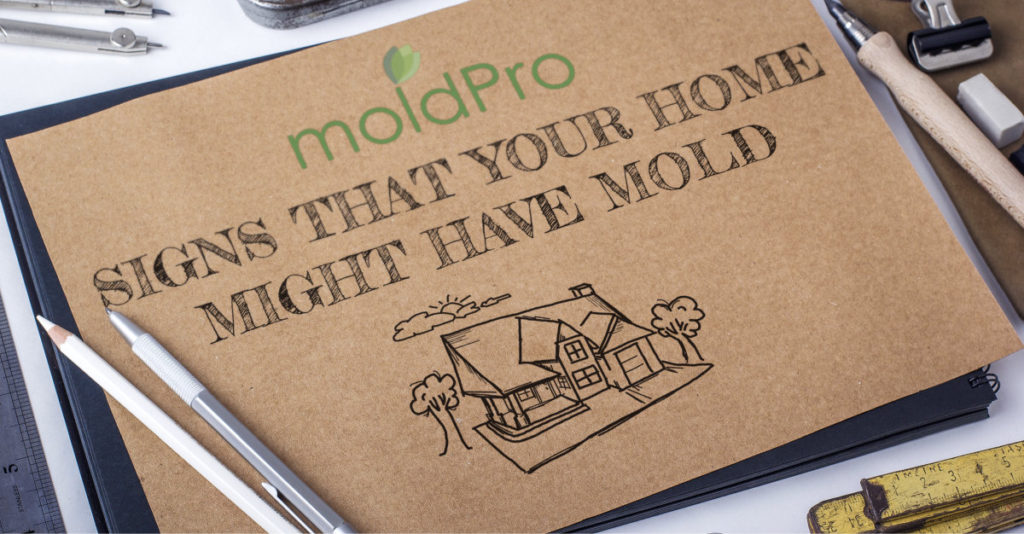 Signs That Your Home Might Have Mold MoldPro LLC