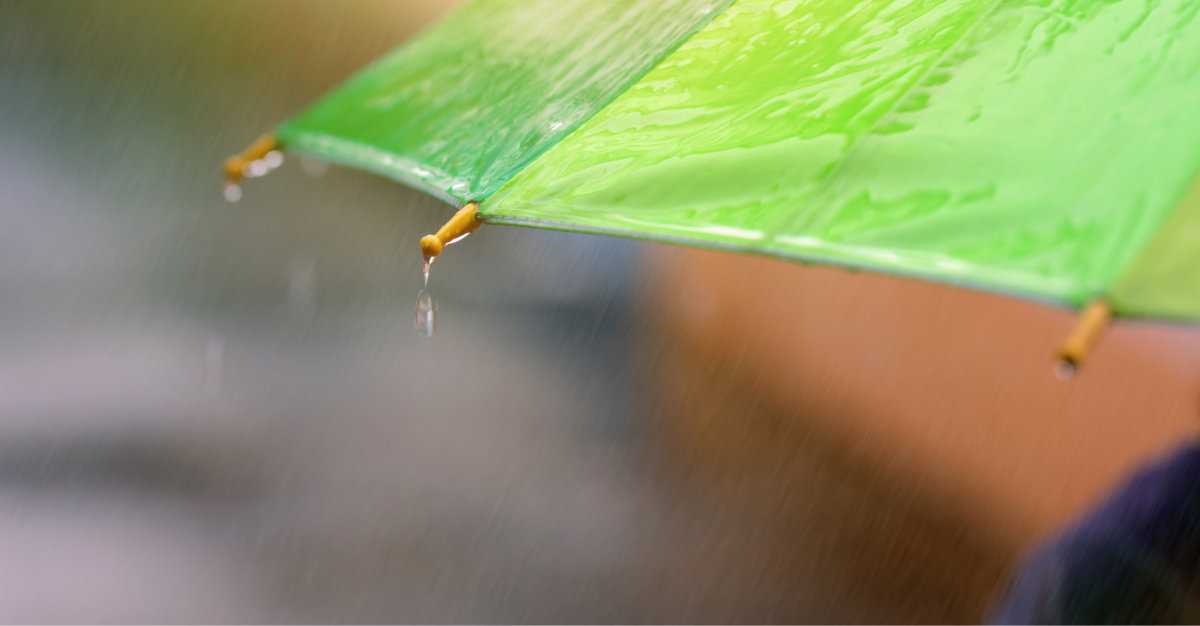 April Showers Bring More Than May Flowers MoldPro LLC