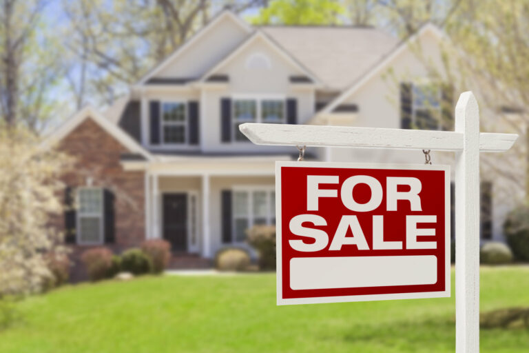 Home Inspection found Mold