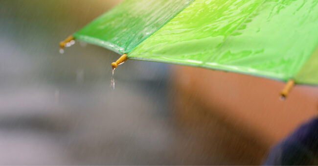 April Showers Bring Mold