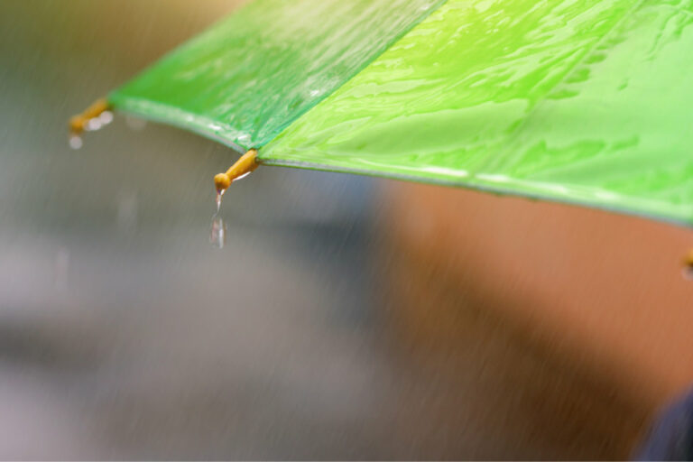 April Showers Bring Mold