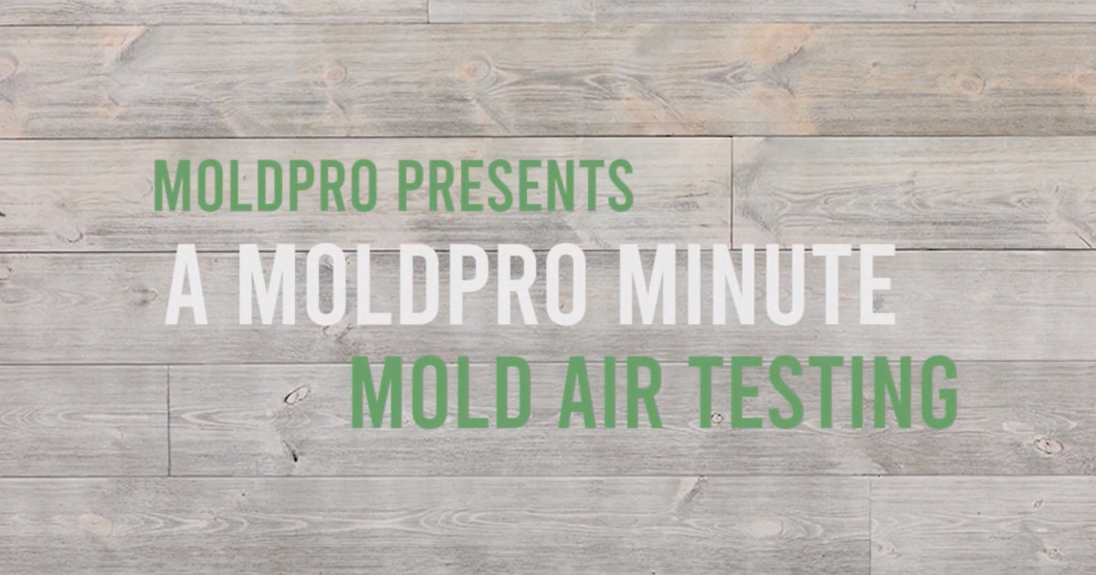 MoldPro Minute What Is Mold Spore Air Testing? [VIDEO]
