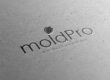 About MoldPro LLC