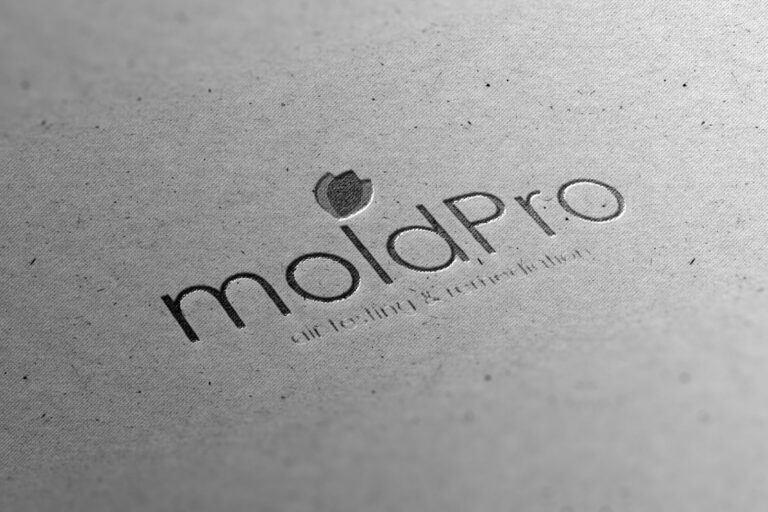 About MoldPro LLC