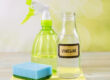 Does Vinegar Kill Mold?