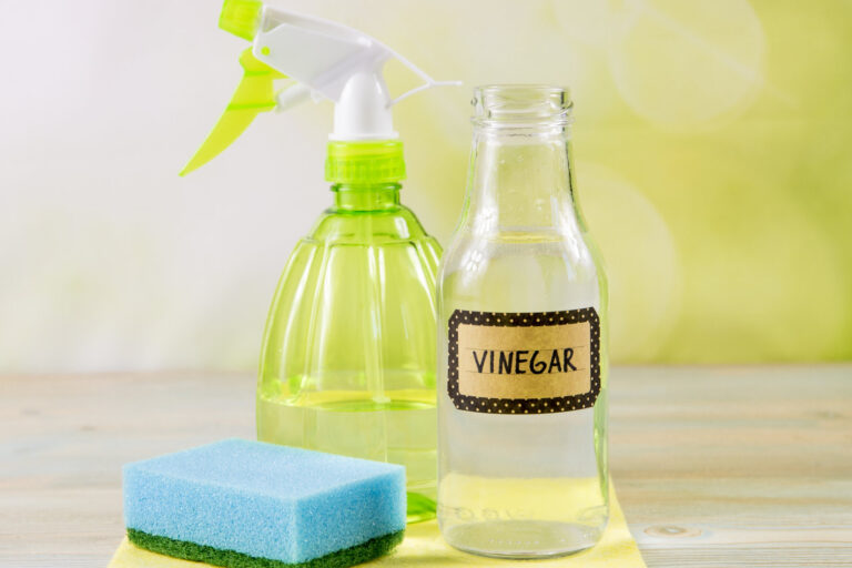 Does Vinegar Kill Mold?