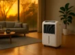 AI Generated Image of a Dehumidifier in a Midwest Home