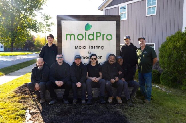 MP Team Pic