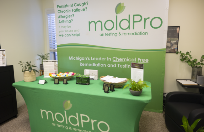571d4b5c-c1d1-4a86-83ff-00fd0def6834 MoldPro chemical-free remediation and testing information table with a branded banner and display materials.